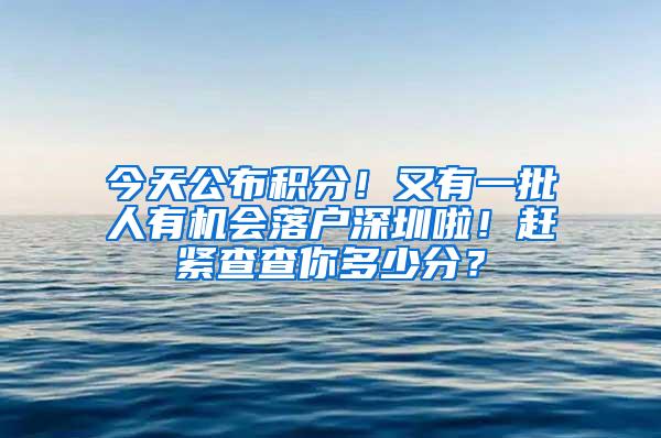 今天公布积分！又有一批人有机会落户深圳啦！赶紧查查你多少分？