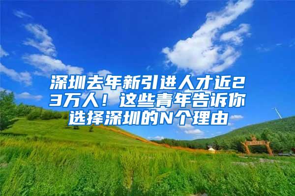 深圳去年新引进人才近23万人！这些青年告诉你选择深圳的N个理由