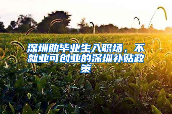 深圳助毕业生入职场，不就业可创业的深圳补贴政策