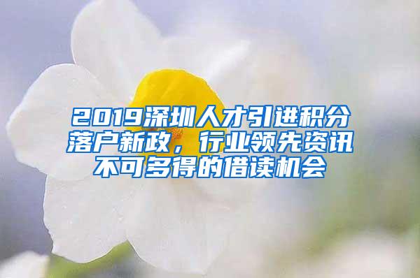 2019深圳人才引进积分落户新政，行业领先资讯不可多得的借读机会