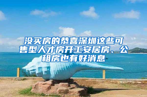 没买房的恭喜深圳这些可售型人才房开工安居房、公租房也有好消息