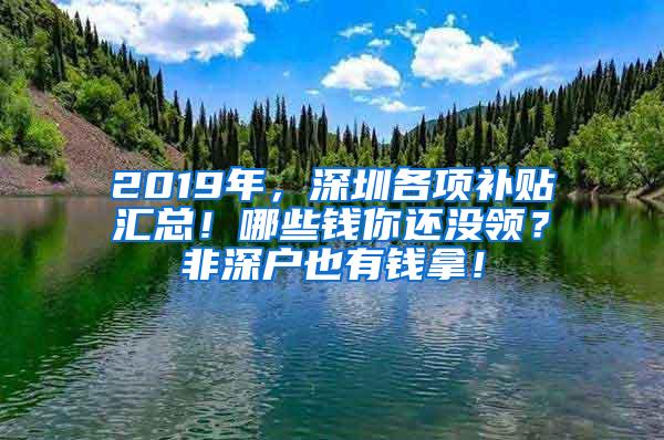 2019年，深圳各项补贴汇总！哪些钱你还没领？非深户也有钱拿！