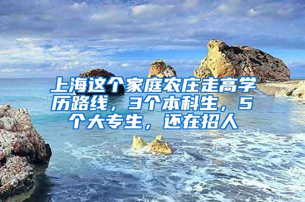 上海这个家庭农庄走高学历路线，3个本科生，5个大专生，还在招人