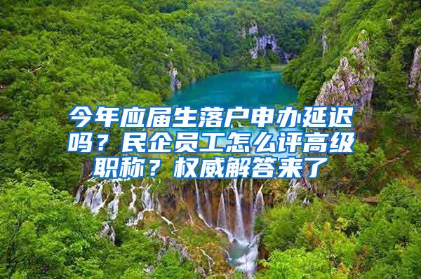 今年应届生落户申办延迟吗？民企员工怎么评高级职称？权威解答来了