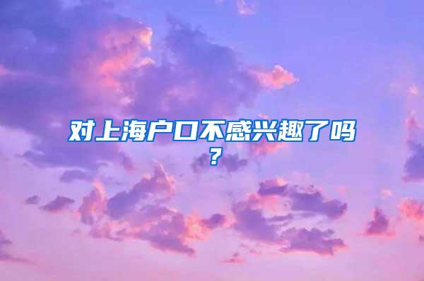 对上海户口不感兴趣了吗？