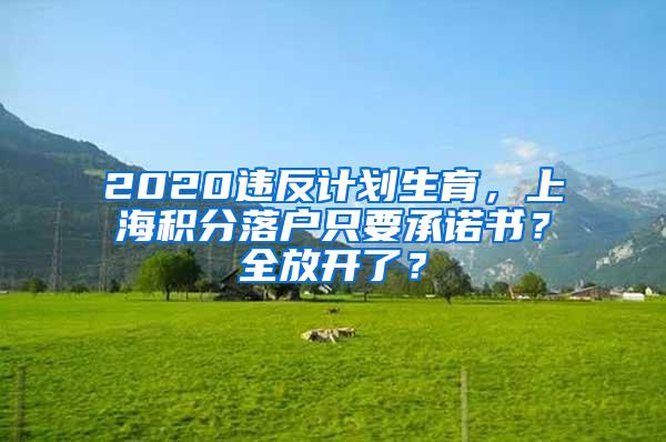 2020违反计划生育，上海积分落户只要承诺书？全放开了？