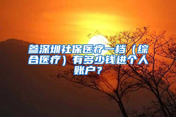 参深圳社保医疗一档（综合医疗）有多少钱进个人账户？