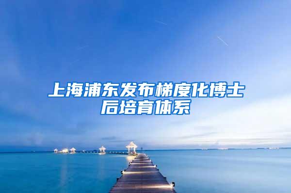 上海浦东发布梯度化博士后培育体系