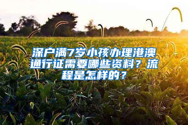 深户满7岁小孩办理港澳通行证需要哪些资料？流程是怎样的？