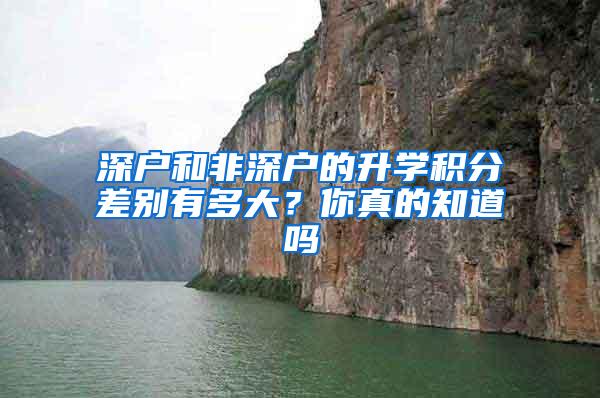 深户和非深户的升学积分差别有多大？你真的知道吗