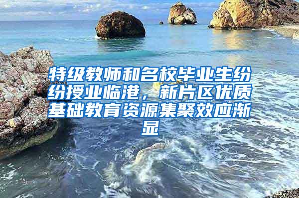 特级教师和名校毕业生纷纷授业临港，新片区优质基础教育资源集聚效应渐显