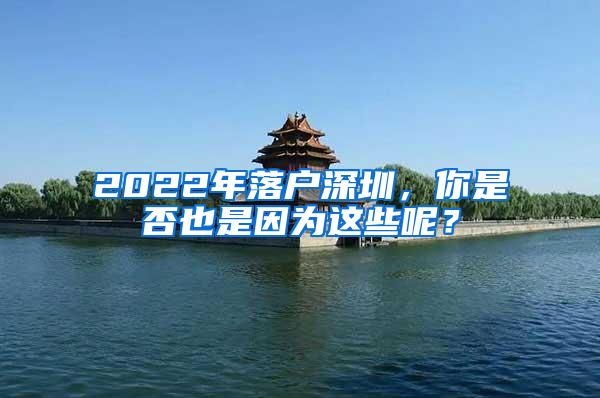 2022年落户深圳，你是否也是因为这些呢？