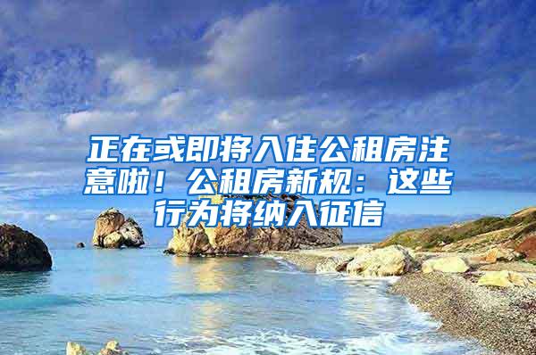 正在或即将入住公租房注意啦！公租房新规：这些行为将纳入征信