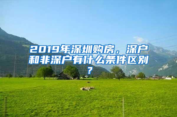 2019年深圳购房，深户和非深户有什么条件区别？