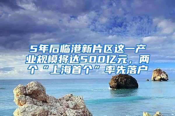 5年后临港新片区这一产业规模将达500亿元，两个“上海首个”率先落户