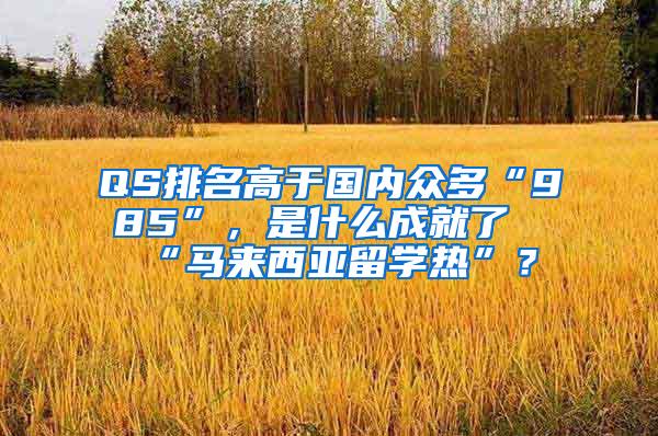 QS排名高于国内众多“985”，是什么成就了“马来西亚留学热”？