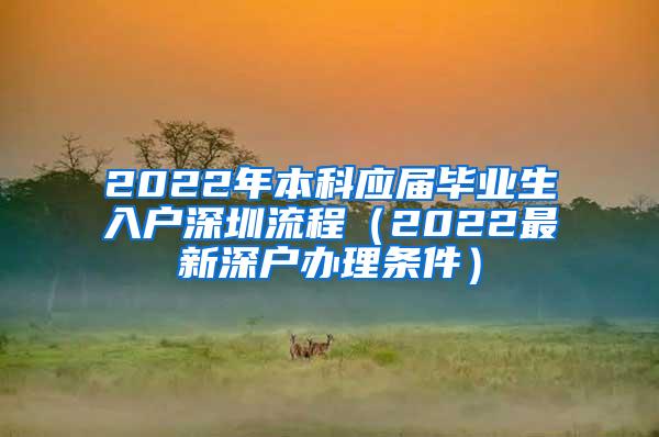 2022年本科应届毕业生入户深圳流程（2022最新深户办理条件）