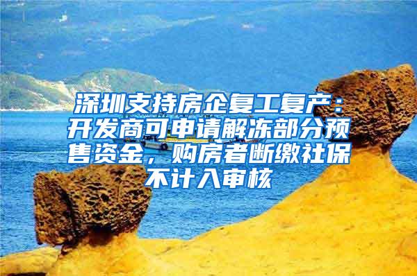 深圳支持房企复工复产：开发商可申请解冻部分预售资金，购房者断缴社保不计入审核