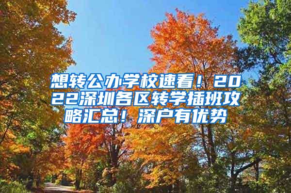 想转公办学校速看！2022深圳各区转学插班攻略汇总！深户有优势