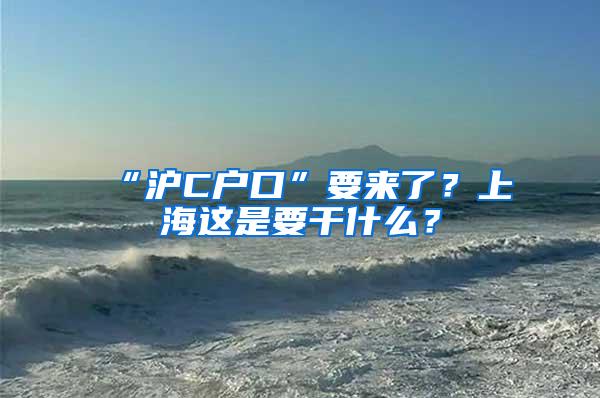 “沪C户口”要来了？上海这是要干什么？