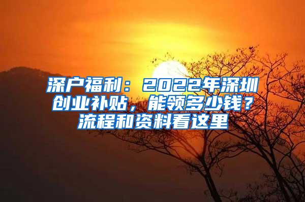 深户福利：2022年深圳创业补贴，能领多少钱？流程和资料看这里