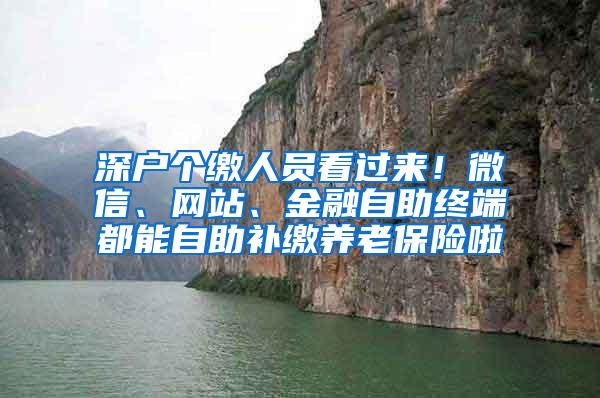 深户个缴人员看过来！微信、网站、金融自助终端都能自助补缴养老保险啦