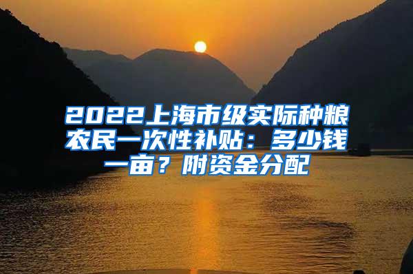 2022上海市级实际种粮农民一次性补贴：多少钱一亩？附资金分配