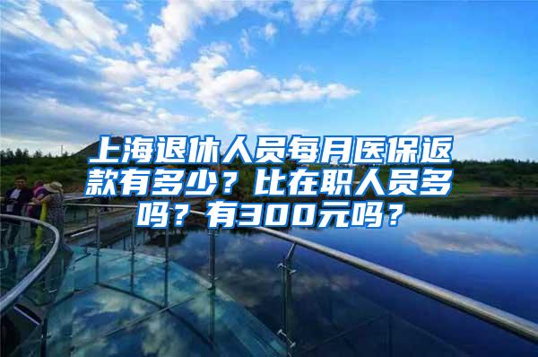 上海退休人员每月医保返款有多少？比在职人员多吗？有300元吗？