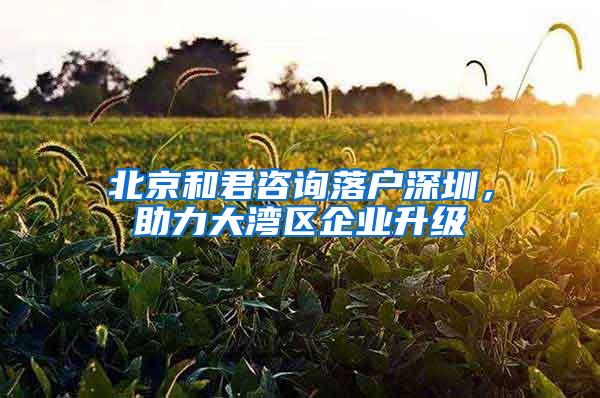 北京和君咨询落户深圳，助力大湾区企业升级