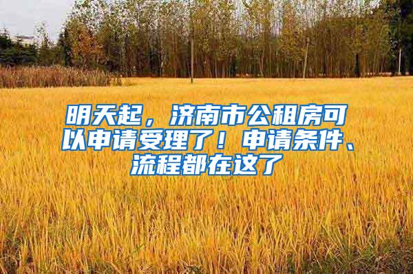 明天起，济南市公租房可以申请受理了！申请条件、流程都在这了