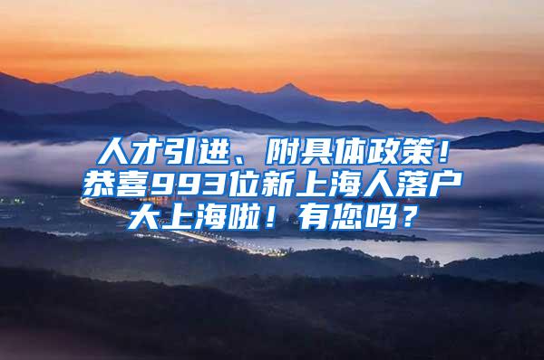 人才引进、附具体政策！恭喜993位新上海人落户大上海啦！有您吗？