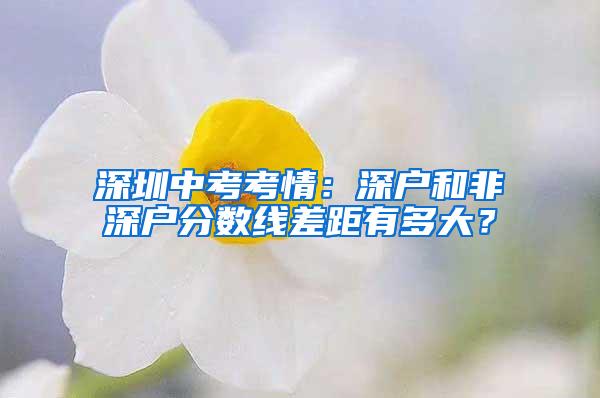 深圳中考考情：深户和非深户分数线差距有多大？