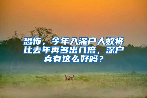 恐怖，今年入深户人数将比去年再多出几倍，深户真有这么好吗？