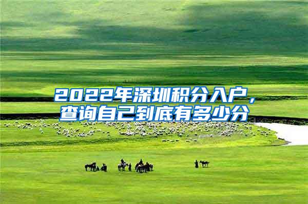 2022年深圳积分入户，查询自己到底有多少分