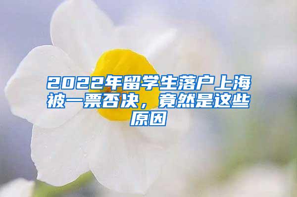 2022年留学生落户上海被一票否决，竟然是这些原因