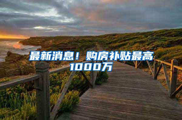 最新消息！购房补贴最高1000万