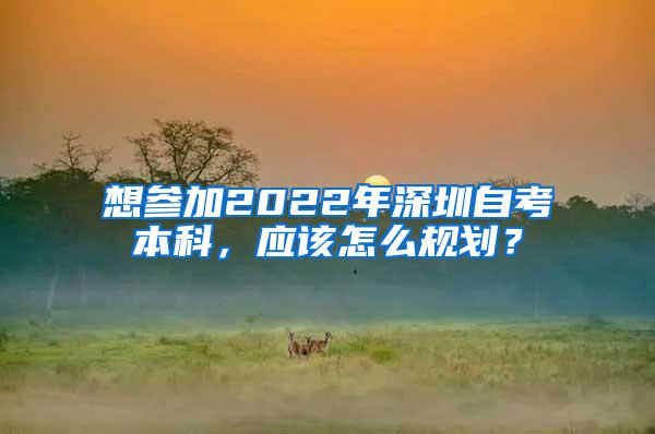 想参加2022年深圳自考本科，应该怎么规划？