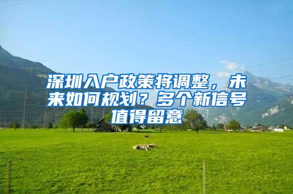 深圳入户政策将调整，未来如何规划？多个新信号值得留意