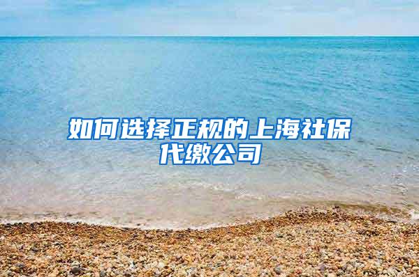 如何选择正规的上海社保代缴公司