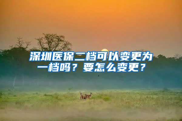 深圳医保二档可以变更为一档吗？要怎么变更？