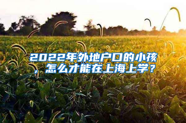 2022年外地户口的小孩，怎么才能在上海上学？