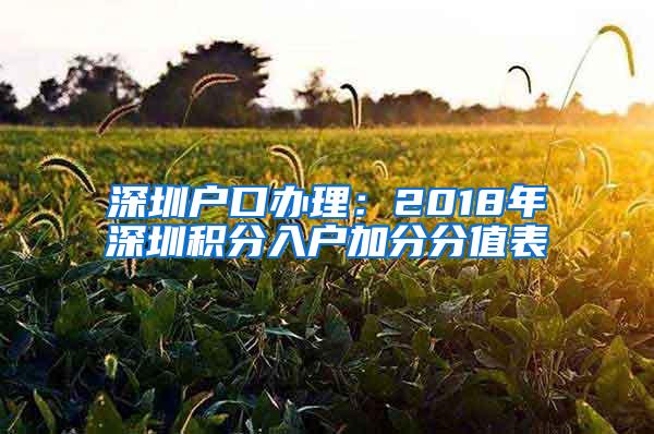 深圳户口办理：2018年深圳积分入户加分分值表