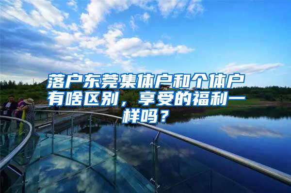 落户东莞集体户和个体户有啥区别，享受的福利一样吗？