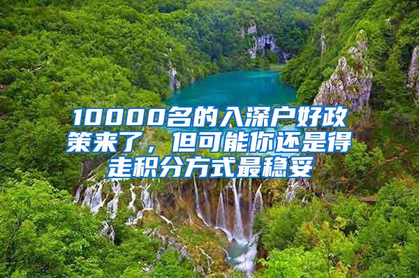 10000名的入深户好政策来了，但可能你还是得走积分方式最稳妥