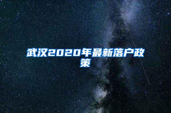 武汉2020年最新落户政策