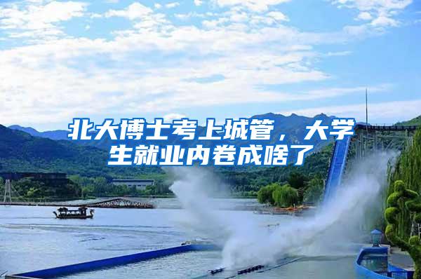 北大博士考上城管，大学生就业内卷成啥了