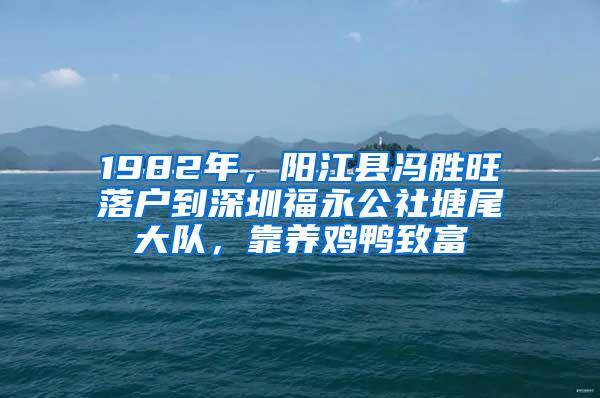 1982年，阳江县冯胜旺落户到深圳福永公社塘尾大队，靠养鸡鸭致富