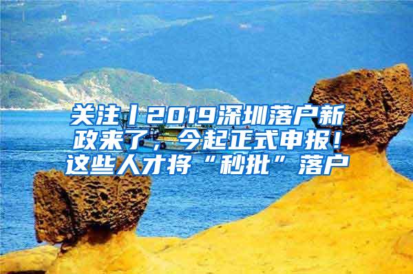 关注丨2019深圳落户新政来了，今起正式申报！这些人才将“秒批”落户