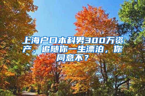 上海户口本科男300万资产，追随你一生漂泊，你同意不？