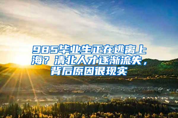 985毕业生正在逃离上海？清北人才逐渐流失，背后原因很现实